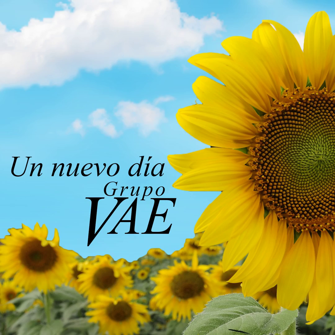 Grupo VAE - Vol. 01 Un nuevo dбa